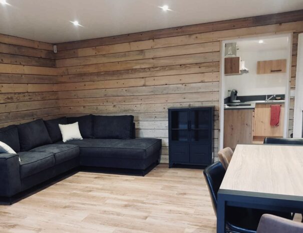 gite-etang-chartiere-courville-eure-28-sejour